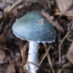 IMGP0040