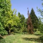 File 558